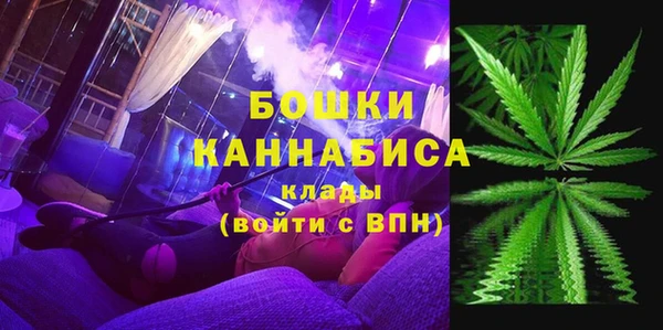 ECSTASY Белокуриха